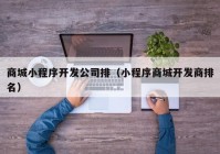 商城小程序開發(fā)公司排（小程序商城開發(fā)商排名）