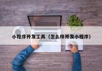 小程序開發(fā)工具（怎么樣開發(fā)小程序）