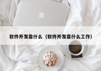 軟件開發(fā)靠什么（軟件開發(fā)靠什么工作）