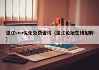 望江seo優(yōu)化免費(fèi)咨詢（望江論壇在線招聘）