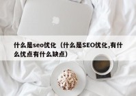 什么是seo優(yōu)化（什么是SEO優(yōu)化,有什么優(yōu)點有什么缺點）