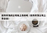 軟件開發(fā)的公司有上市的嗎（軟件開發(fā)公司上市企業(yè)）