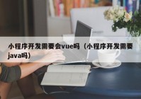 小程序開發(fā)需要會(huì)vue嗎（小程序開發(fā)需要java嗎）