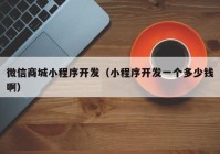 微信商城小程序開發(fā)（小程序開發(fā)一個多少錢啊）