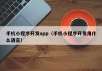 手機小程序開發(fā)app（手機小程序開發(fā)用什么語言）