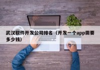 武漢軟件開發(fā)公司排名（開發(fā)一個(gè)app需要多少錢）