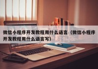 微信小程序開發(fā)教程用什么語言（微信小程序開發(fā)教程用什么語言寫）