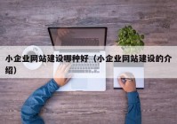 小企業(yè)網站建設哪種好（小企業(yè)網站建設的介紹）