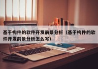 基于構件的軟件開發(fā)前景分析（基于構件的軟件開發(fā)前景分析怎么寫）