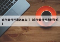 自學軟件開發(fā)怎么入門（自學軟件開發(fā)好學嗎）