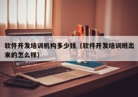 軟件開發(fā)培訓機構(gòu)多少錢（軟件開發(fā)培訓班出來的怎么樣）