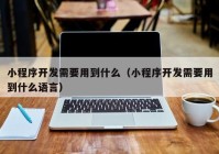 小程序開發(fā)需要用到什么（小程序開發(fā)需要用到什么語言）