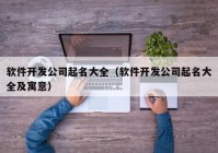 軟件開發(fā)公司起名大全（軟件開發(fā)公司起名大全及寓意）