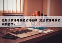 適用于軟件開發(fā)的公司名稱（適合軟件開發(fā)公司的名字）