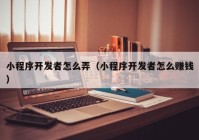 小程序開發(fā)者怎么弄（小程序開發(fā)者怎么賺錢）