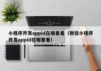 小程序開發(fā)appid在哪里看（微信小程序開發(fā)appid在哪里看）