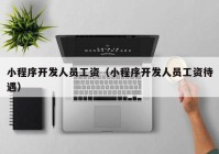 小程序開發(fā)人員工資（小程序開發(fā)人員工資待遇）