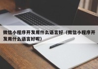 微信小程序開發(fā)用什么語(yǔ)言好（微信小程序開發(fā)用什么語(yǔ)言好呢）