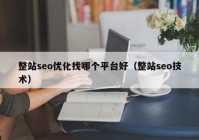 整站seo優(yōu)化找哪個(gè)平臺(tái)好（整站seo技術(shù)）