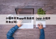 小程序開發(fā)app開發(fā)南京（app 小程序開發(fā)公司）