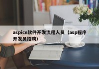 aspice軟件開發(fā)流程人員（asp程序開發(fā)員招聘）