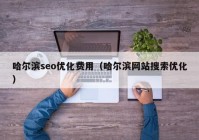 哈爾濱seo優(yōu)化費(fèi)用（哈爾濱網(wǎng)站搜索優(yōu)化）