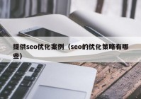 提供seo優(yōu)化案例（seo的優(yōu)化策略有哪些）